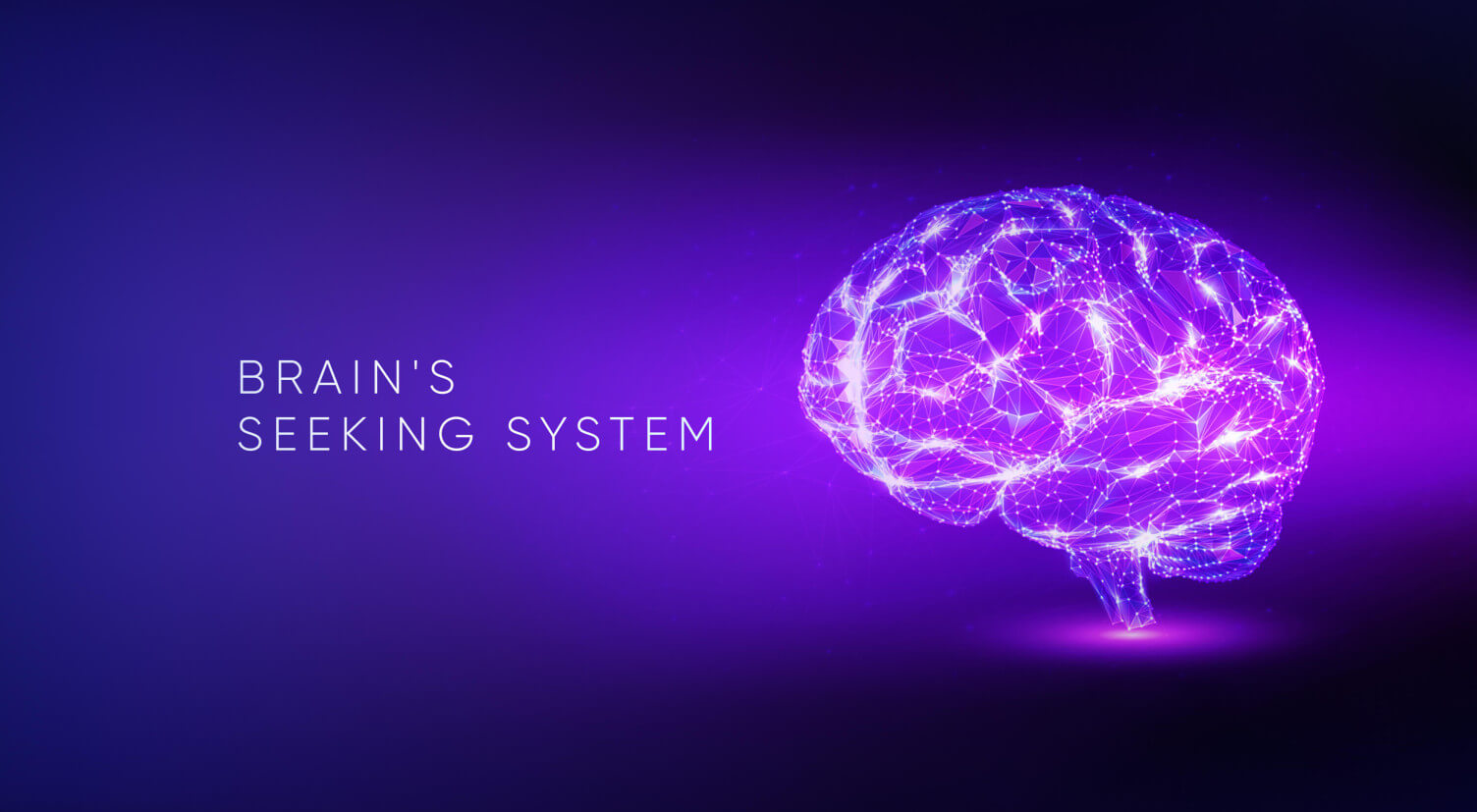 FinTech Product Design Should Address Brain's Seeking System